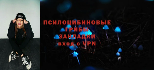 СК Алексеевка