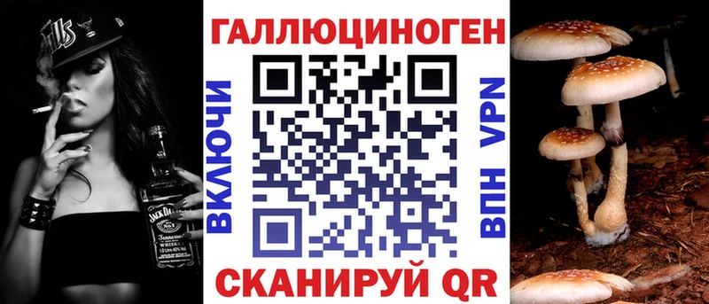 Псилоцибиновые грибы прущие грибы  Купить где  Тара 