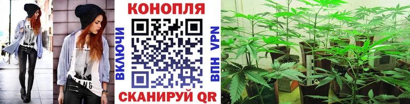 Купить  Тара  МАРИХУАНА конопля 